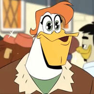 silly duck silly duck